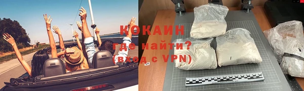 молекула духа Бородино