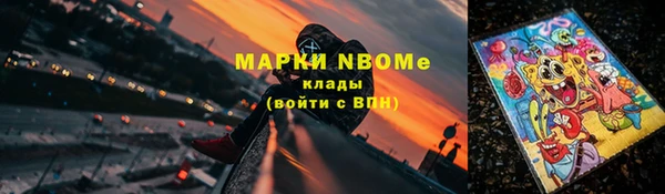 молекула духа Бородино