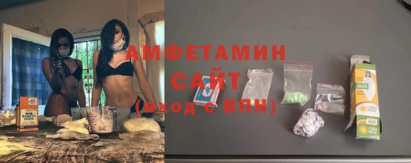 молекула духа Бородино