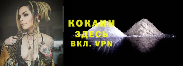 молекула духа Бородино