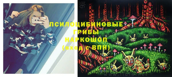 молекула духа Бородино