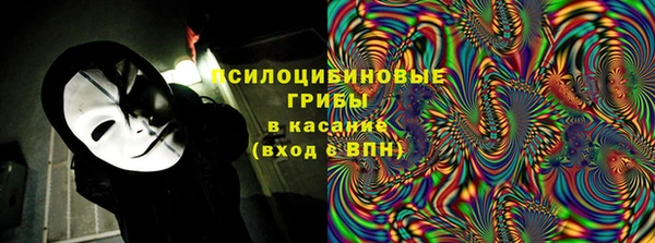 молекула духа Бородино