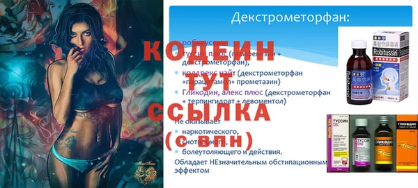 молекула духа Бородино