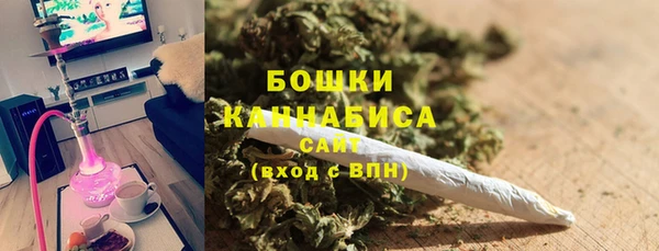 молекула духа Бородино