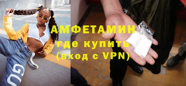 молекула духа Бородино