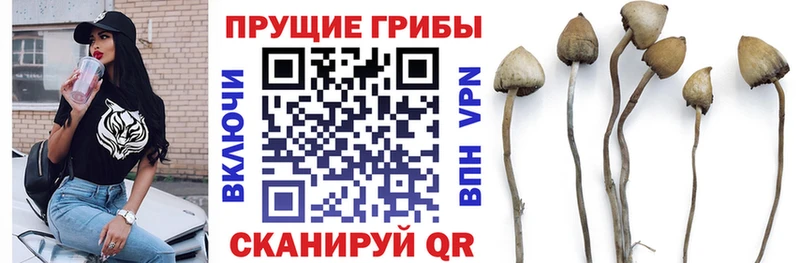 Псилоцибиновые грибы ЛСД  Кириллов 